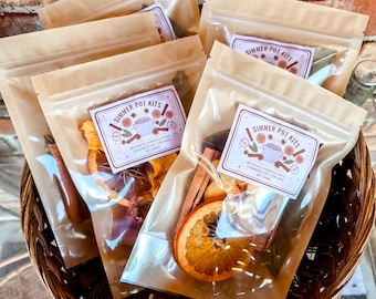Simmer Pot Kit // Herbst Simmer Pot // Raumlufterfrischer // Herbstdüfte // Getrocknete Früchte // Einweihungsparty // Weihnachtsgeschenk