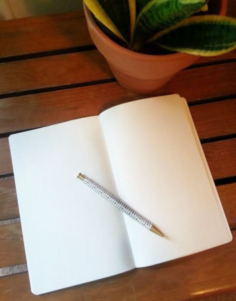 May include: An open, blank notebook with a pen resting on the pages. The pen has a white barrel with black polka dots and a gold-colored tip. A potted plant with green and yellow leaves sits in the background on a wooden surface.