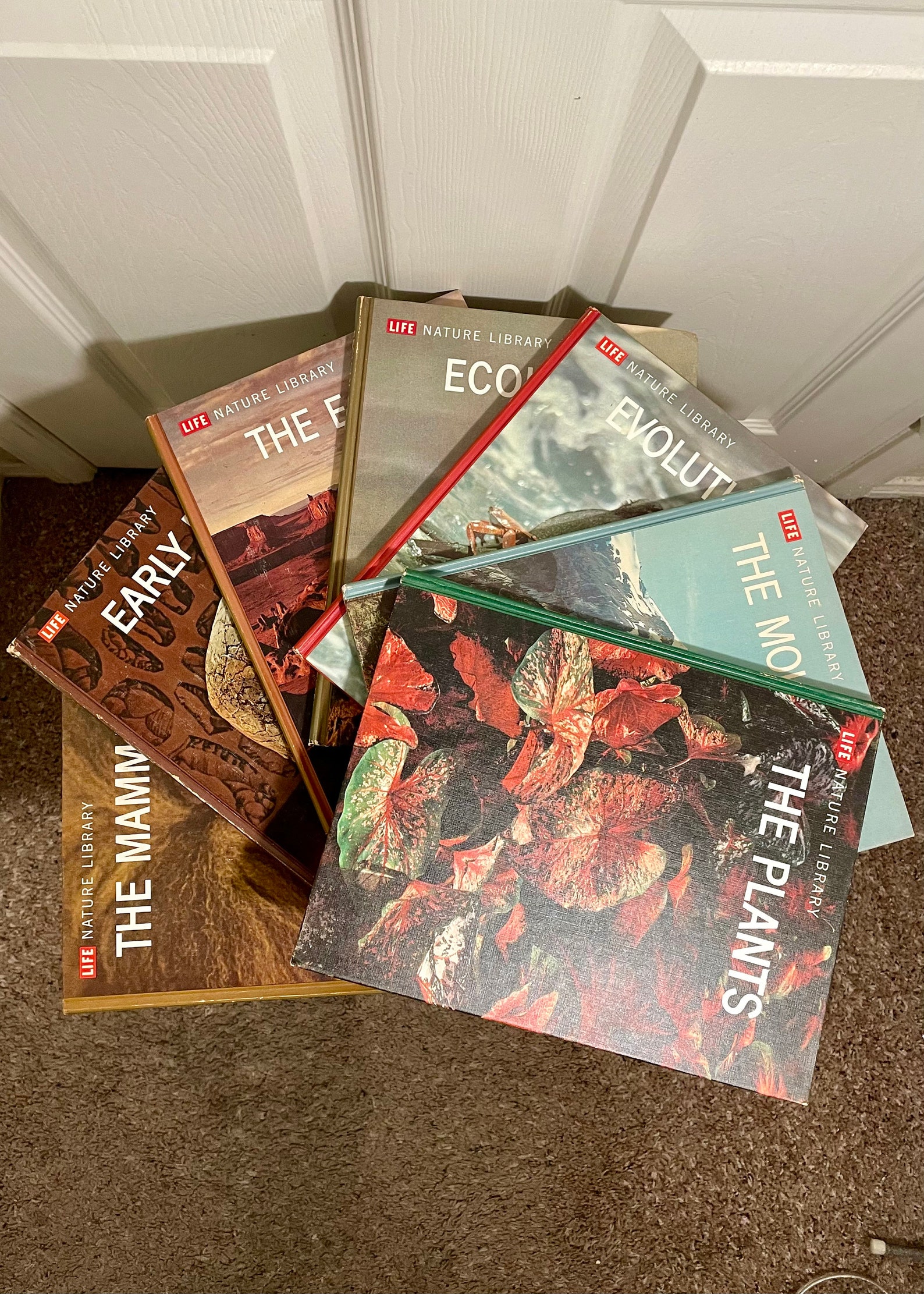 BOOK SET, NATURE Library, Illustrated Books - Etsy
