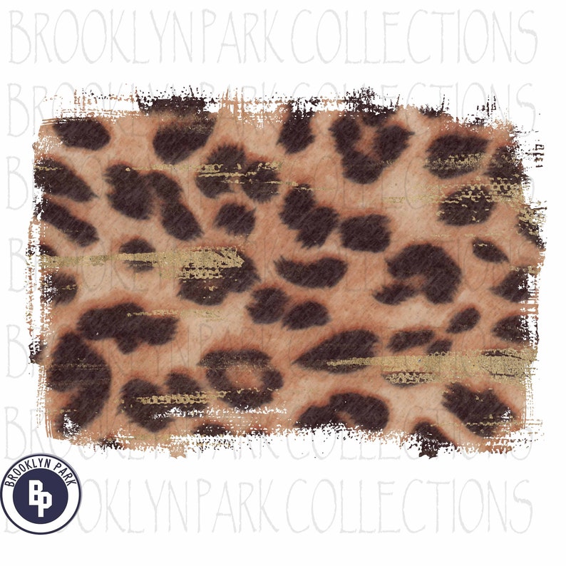 Leopard Cheetah Frame Bundle Clip Art Instant Digital Etsy