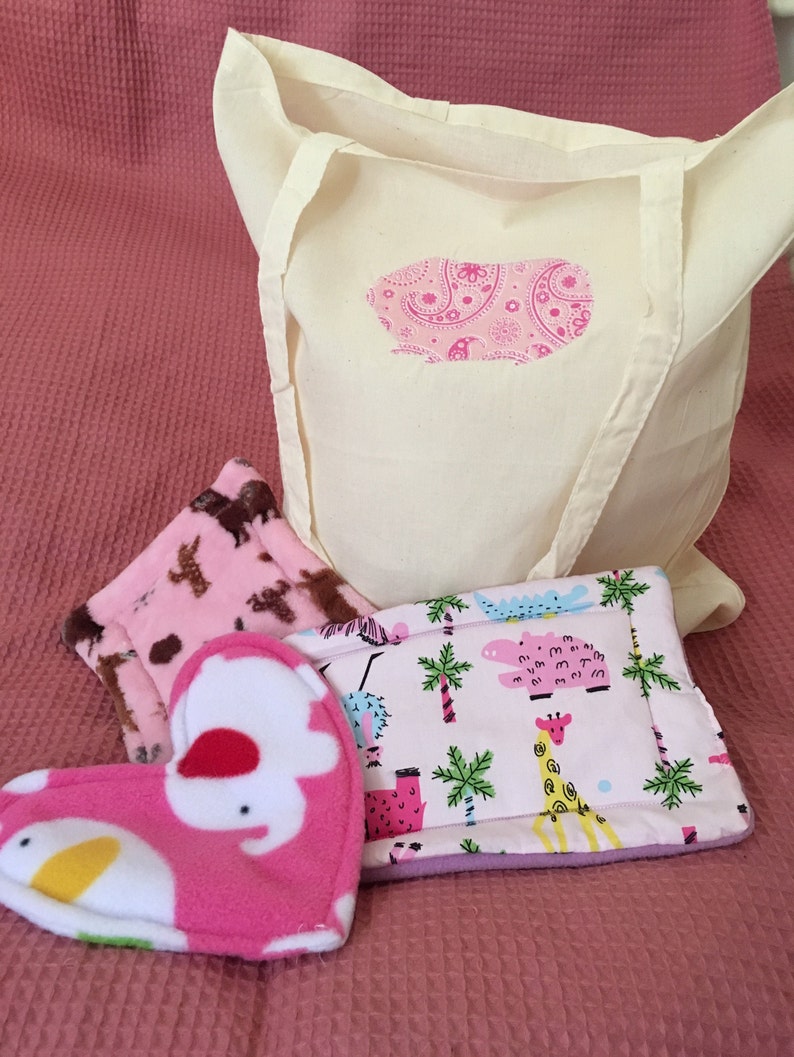 GUINEA PIG goodie bag guinea pig lover tote bag with 3 piggie pillows for your pet