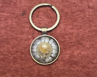 Real Daisy Flower Keychain