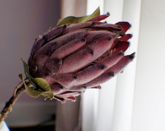 Burgundy Protea Artificial Flower Stem: Wedding Bouquet Table Decor
