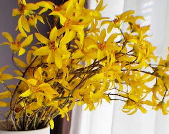 20" Yellow Forsythia Bundle: Silk Flower Arrangement, DIY Wedding
