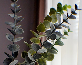 May include: A bouquet of eucalyptus leaves in a white ceramic vase. The leaves are a mix of green and gray.