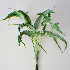 23&quot; Eucalyptus stems Bunch, Fresh Touch Eucalyptus Stem,Greenery, Faux Eucalyptus, Artificial Greens, Floral stems Flower Bunch Home Accents