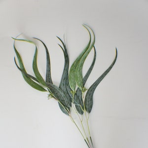 Eucalyptus stems Bunch, Seeded Eucalyptus Stem,Greenery, Faux Eucalyptus, Artificial Flowers, Floral stems, Flower Bunch, Home Accents