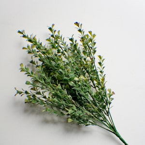 Puede incluir: Un manojo de vegetaci&oacute;n artificial verde con hojas peque&ntilde;as. Los tallos son verdes y marrones.
