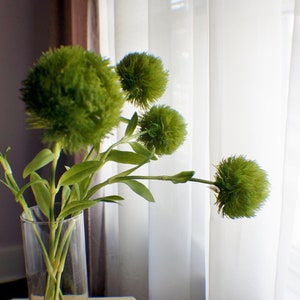 Peut inclure: Un vase en verre transparent contenant des fleurs vertes et duveteuses. Le vase est posé sur une table en bois brun clair. Les fleurs sont devant un rideau blanc transparent.