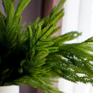 30" Fresh Touch Norfolk Pine Spray Artificiale Pino Spray, Stelo Verde Natalizio, Verde Invernale Vacanza Artificiale Sempreverde Cedro