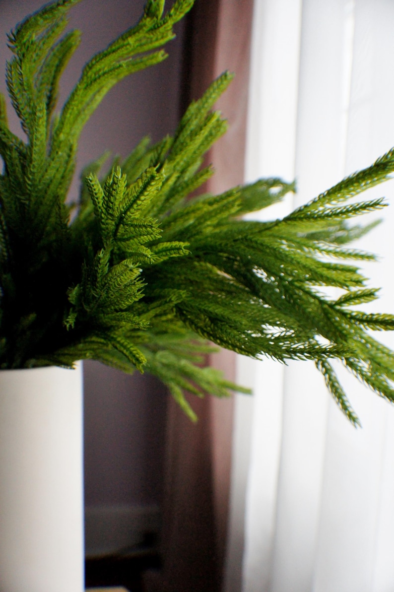 May include: A green artificial plant with long, thin leaves in a white vase. The plant is in front of a window with white curtains.