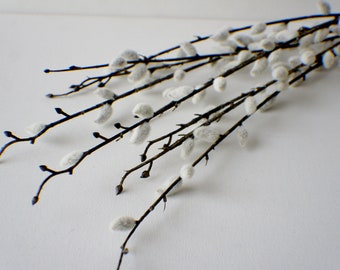 Artificial Pussy Willow Bundle Faux Pussy Willow, Velvety Stem, Greenery, Floral stems, Flower Bunch, Home Accents, Center Piece, DIY Wreath