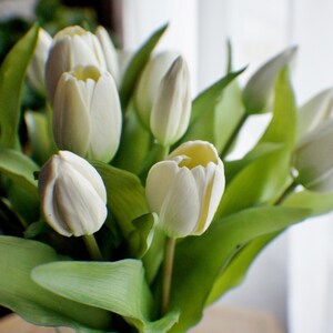 May include: A bunch of white tulips in a clear glass vase. The flowers have creamy white petals and bright green leaves. The arrangement is set against a soft, blurred background, creating a fresh and natural aesthetic.