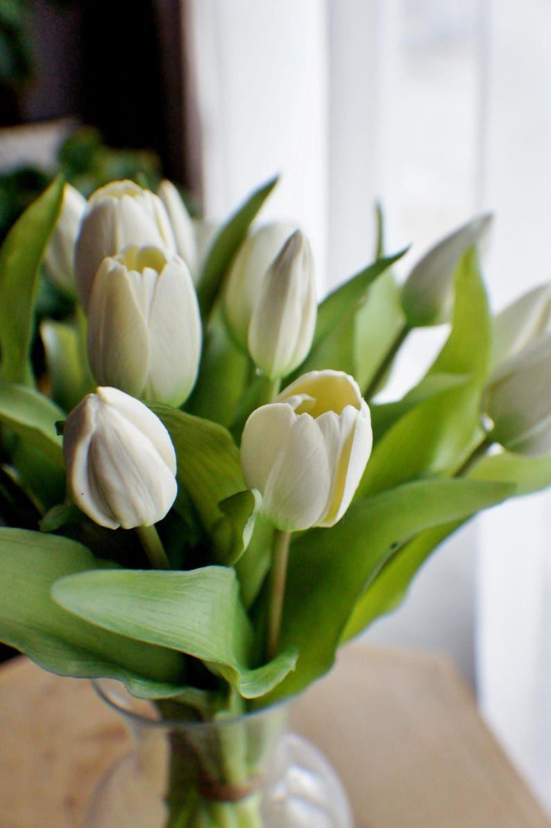May include: A bunch of white tulips in a clear glass vase. The flowers have creamy white petals and bright green leaves. The arrangement is set against a soft, blurred background, creating a fresh and natural aesthetic.