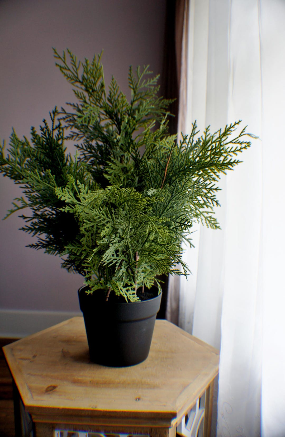 Artificial Cedar Christmas Tree: 24 Inch Northern White Cedarchristmas ...