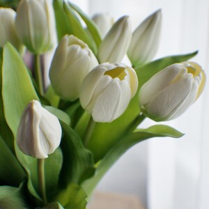 May include: A bunch of white tulips with green leaves in a clear glass vase. The tulip petals are a creamy white with a touch of yellow in the centre. The leaves are a vibrant green, creating a fresh and natural aesthetic.