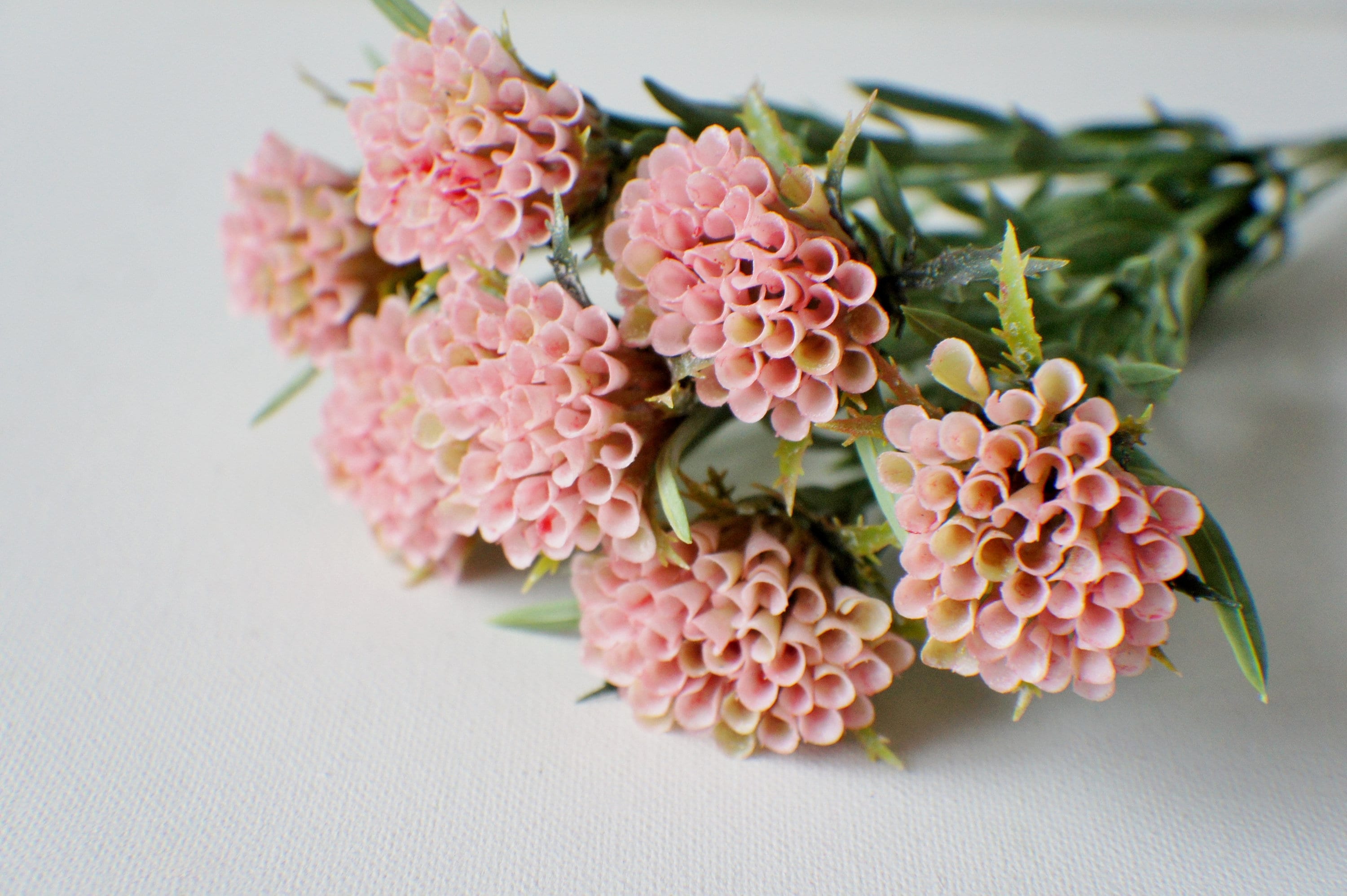 蜂の巣の花瓶 - Etsy 日本