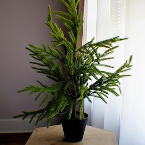 May include: A potted artificial evergreen tree with bright green foliage. The tree sits in a black pot on a wooden, hexagonal table. The scene is illuminated by natural light from a window, creating a bright atmosphere.