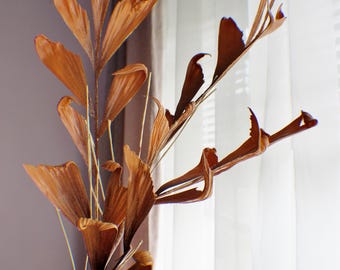 Peut inclure: Une composition de plantes séchées avec plusieurs tiges et des feuilles brunes en forme d'éventail. Les feuilles ont un aspect texturé et sont disposées dans un style naturel. La plante est placée devant une fenêtre avec des rideaux blancs.