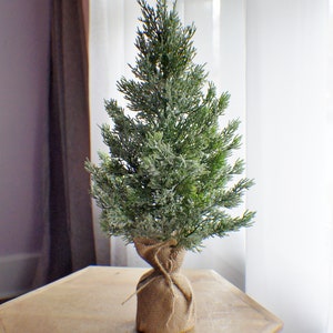 Pino smerigliato, albero di Natale da fattoria, centrotavola invernale, decorazione da tavola, verde natalizio, composizione natalizia, ginepro pronto per la spedizione