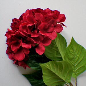 May include: A bouquet of red hydrangea flowers with green leaves.