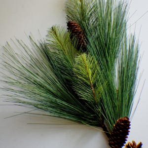 May include: A sprig of evergreen pine needles and pine cones. The needles are long and slender, with a vibrant green color. The pine cones are brown and textured, adding a natural element to the composition. The arrangement is set against a white background.