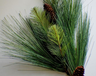 May include: A sprig of evergreen pine needles and pine cones. The needles are long and slender, with a vibrant green color. The pine cones are brown and textured, adding a natural element to the composition. The arrangement is set against a white background.
