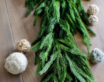 65" Fresh Touch Norfolk Pine Garland Christmas Greenery Winter Greens Holiday Artificial Evergreen Floral Supply Mantel Garland Table Runner