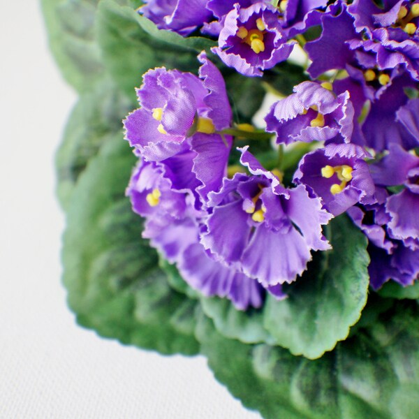 Faux ornamental violet, ornamental violet bush, faux flowers, faux violet stem, purple cabbage stem, artificial ornamental violet