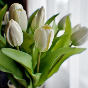 May include: A bunch of white tulips in a clear glass vase. The flowers have creamy white petals with a touch of yellow at the base, and bright green leaves. The vase is tied with a brown band.