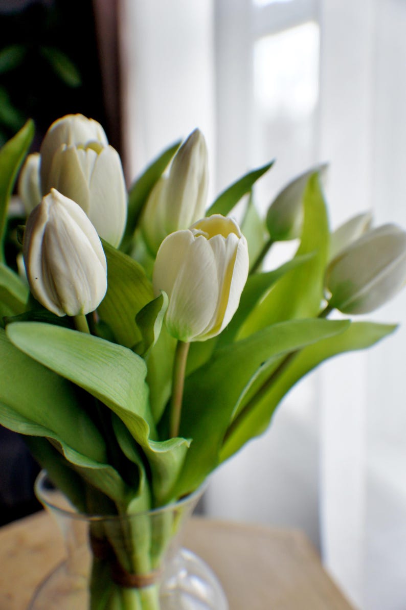 May include: A bunch of white tulips in a clear glass vase. The flowers have creamy white petals with a touch of yellow at the base, and bright green leaves. The vase is tied with a brown band.