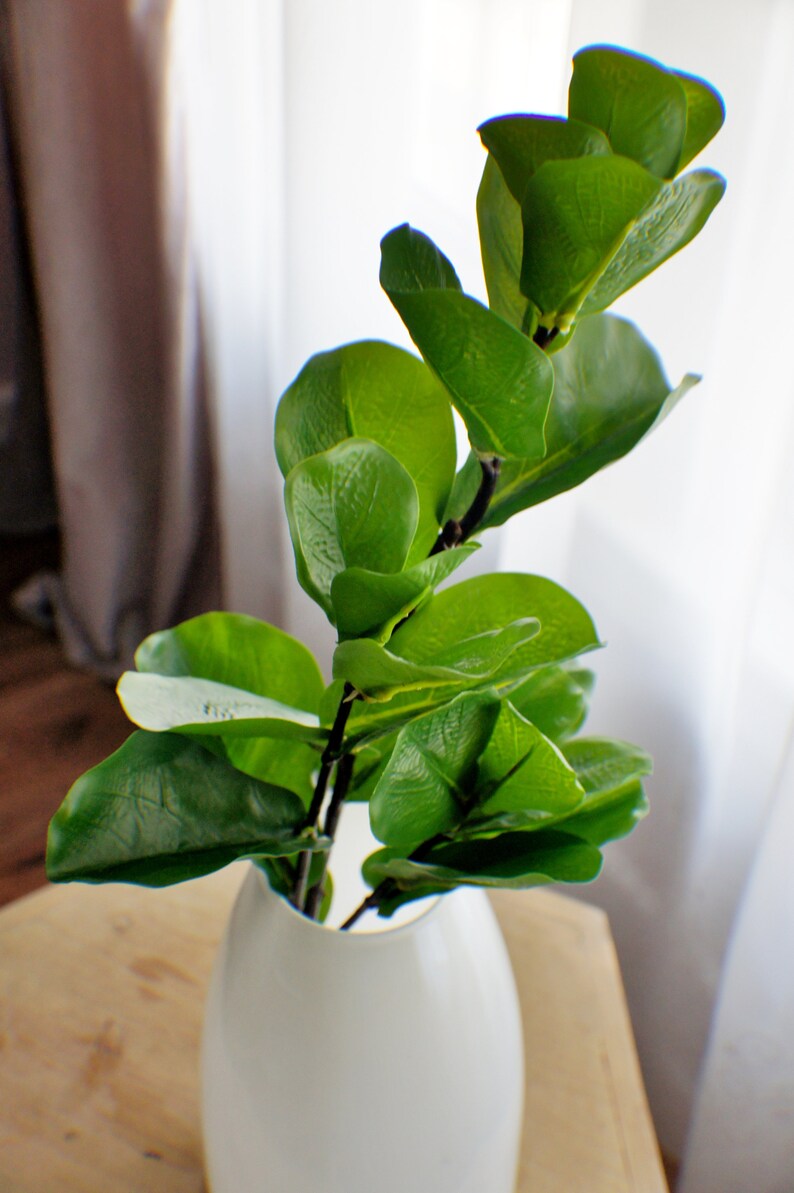 May include: A white ceramic vase with a green leafy plant inside. The vase is round and has a smooth surface. The plant has large, green leaves that are arranged in a symmetrical pattern.