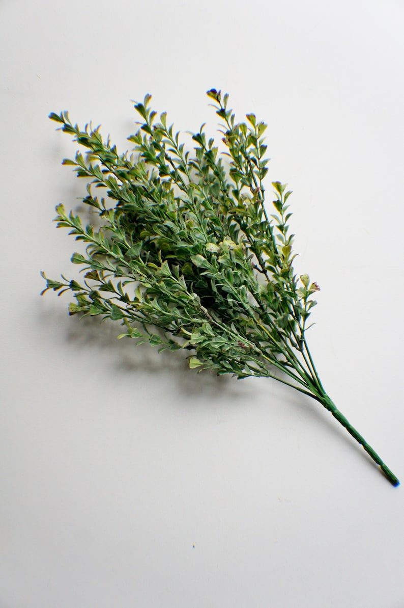 Puede incluir: Un manojo de vegetaci&oacute;n artificial verde con hojas peque&ntilde;as. Los tallos son verdes y marrones.