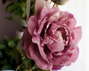 May include: A close-up of a large, fully bloomed peony flower in shades of mauve and pink. The flower has multiple layers of delicate petals and is accompanied by green leaves and a bud. The flower is in a white vase.