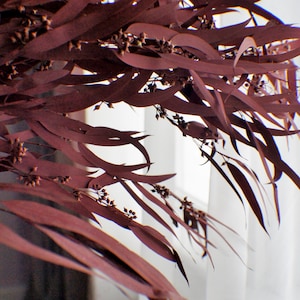 Burgundy Preserved Eucalyptus Bush,  Spray Stem, Greenery, Dried Eucalyptus, Seeded Eucalyptus, Floral stems, Flower Bunch, Home Accents