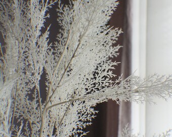 Fresh touch White Lace Fern bush, White Faux Fern Stem, Artificial Fern, Artificial Greens Vase Filler Greenery Bouquet Greens Wreath making