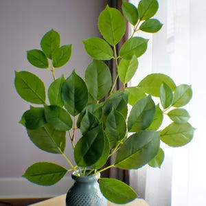 May include: A small, blue ceramic vase with a diamond pattern holds a collection of vibrant green leaves. The leaves have a glossy appearance and are arranged to create a full, natural display. The vase sits on a wooden surface.