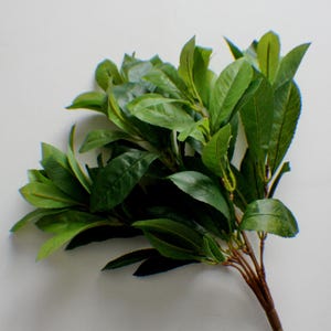 14&quot; Laurel Bush, Filler Bush, Greenery, Faux greenery, Artificial Greens, Floral stems, Flower Bunch Bouquet making Wreath making