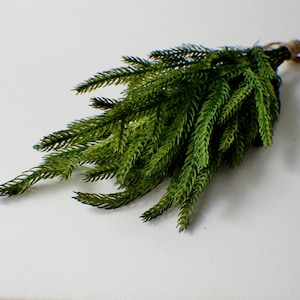Lot de 3 piquets de pin Fresh Touch Norfolk 25,4 cm (25,4 cm) par lot de 3, pique-tige pour vase Verdure de Noël Verdure d'hiver Vacances Artificielle Florale à feuilles persistantes