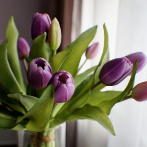 May include: A bouquet of purple tulips in a clear glass vase. The flowers have vibrant purple petals and green leaves. The vase is tied with twine. The background is a soft focus of a window and a brown wall.