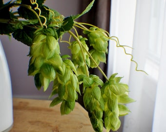 Artificial Beer Hops Stem Bundle, Real Touch,Greenery, Faux Hops, Artificial Flowers, Floral stems, Flower Bunch, Home Accents, Center Piece