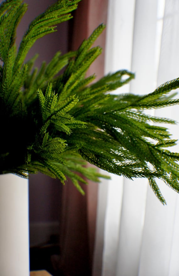 40" Real Touch Norfolk Pine Spray, Artificial Pine Stem, Christmas Greenery, Winter Greenery, Faux Evergreen, Wreath Making Supply