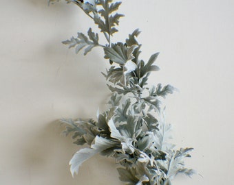 Large Dusty Miller stem, Velvety Stem,Greenery, Faux Lambs ear, Artificial Flowers, Floral stems, Flower Bunch, Home Accents, Center Piece