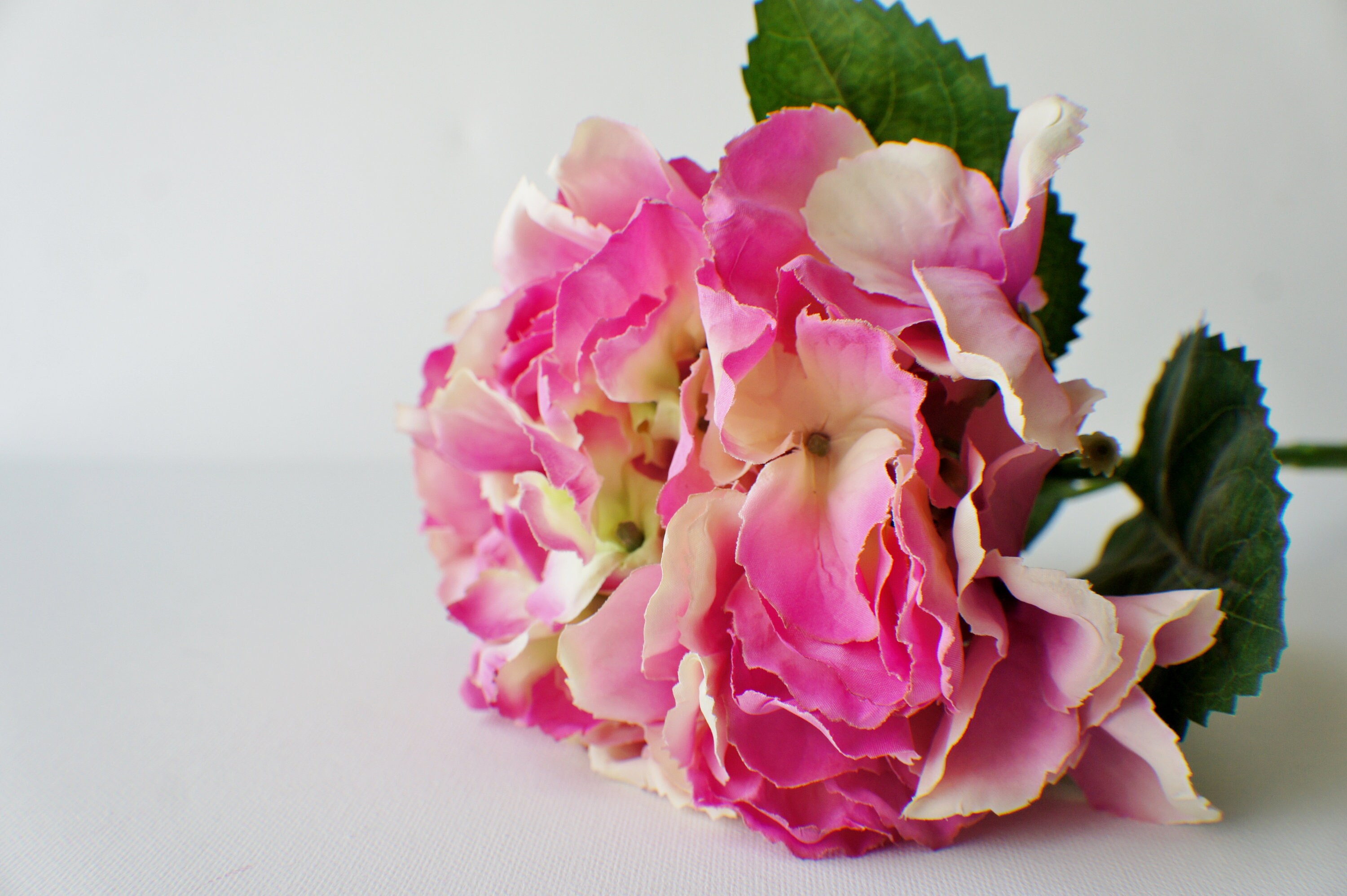 JUSTOYOU Bouquet Di Rose Artificiali, 4 Pezzi, Bouquet Di Rose In Seta Champagne Con 28 Rose Finte, Realistiche, Per Matrimoni, Casa, Giardino, Feste - 3