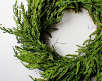 20" Norfolk Pine Fresh touch Pine Wreath, Evergreen Floral Wreath, Christmas Wreath, Candle Ring, Christmas Floral, Christmas Crafts