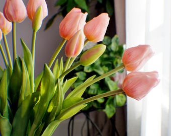 Puede incluir: Un ramo de tulipanes rosas en un jarrón de cristal transparente. Los tulipanes tienen pétalos rosas suaves con un toque de amarillo en la base y hojas verdes vibrantes. El fondo incluye una planta verde y una ventana soleada.