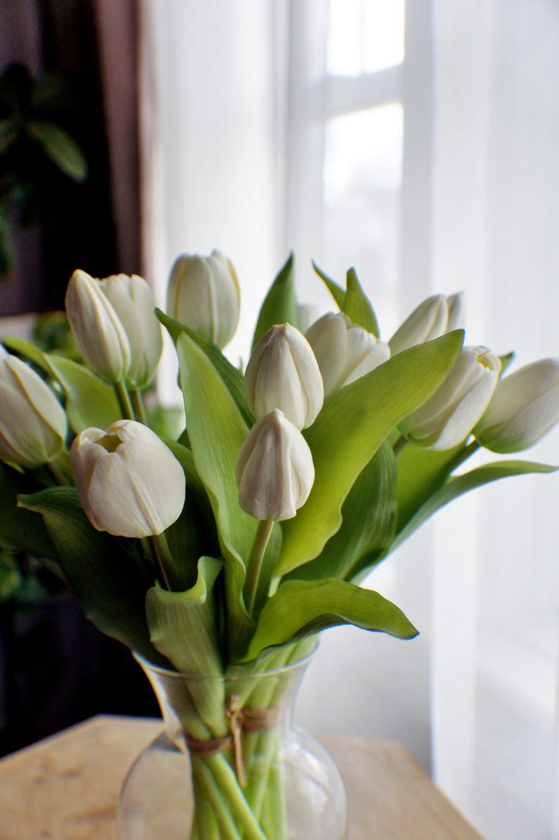 May include: A bunch of white tulips in a clear glass vase. The flowers have tightly closed petals and are surrounded by bright green leaves. The vase is tied with twine, and the background is a blurred window.