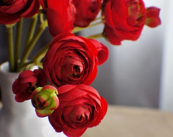 May include: A bouquet of deep red ranunculus flowers in a white vase with the word "bloom" printed on the front.