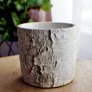 Ceramic Indoor Planter, Birch Like Planter Pot, Housewarming Home Decor Gifts, Succulent Planters, Flower Pots