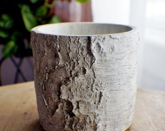 Ceramic Indoor Planter, Birch Like Planter Pot, Housewarming Home Decor Gifts, Succulent Planters, Flower Pots